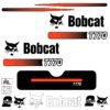 Fits T770 Bobcat Track Loader Replacement Decals - Dun Decals